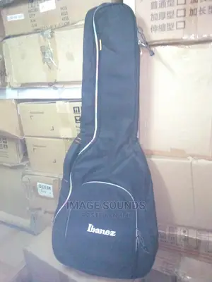 Guitar Bag-Extra Padded