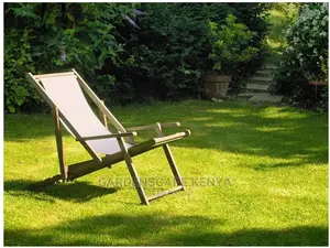 Shade Lawn Grass Seeds.