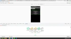 Full Stack Developer