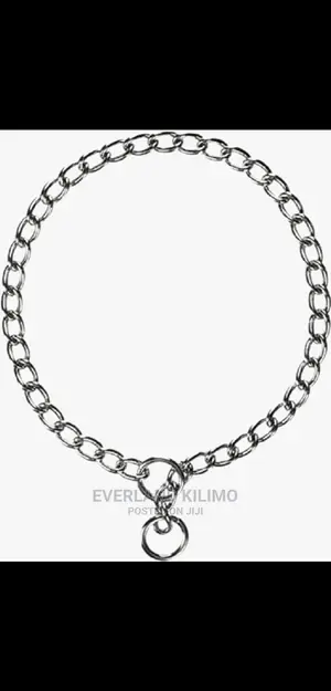 New Dog Choke Chain