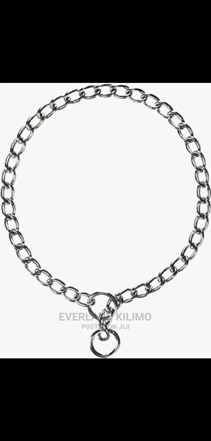 New Dog Choke Chain