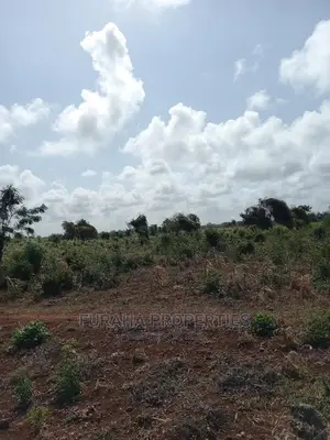 For Sale 16 Acres 4th Raw Beach North Coast