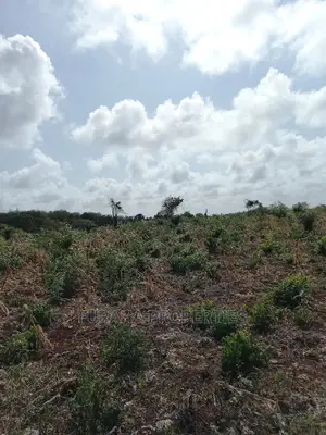 For Sale 16 Acres 4th Raw Beach North Coast