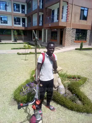 Best Grass Planting and Cutting/ Flowering