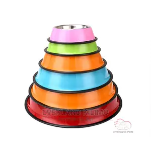 New Dog Bowl - Large