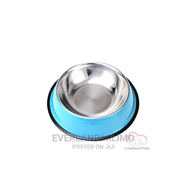 Dog Feeding Bowl -Small