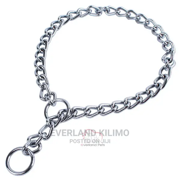 Most Selling Dog Choke Chain