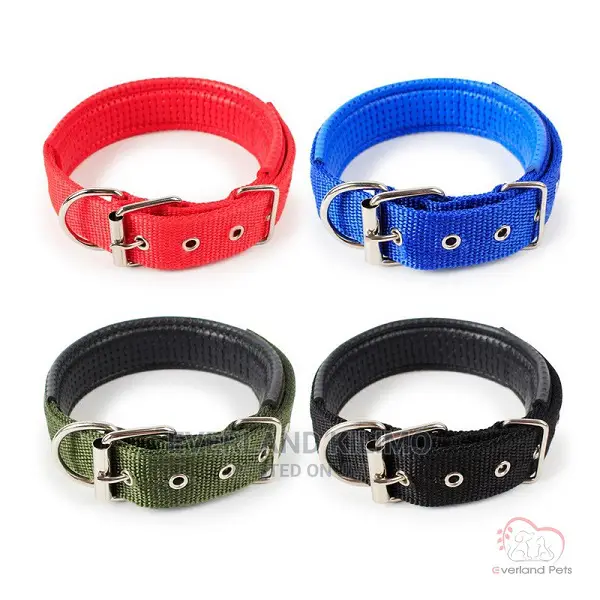 New Dog Collar - Large