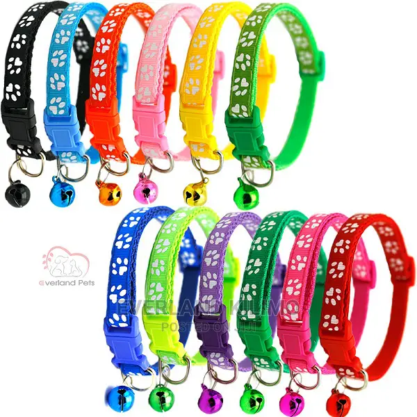 Small Dogs / Cats Collar