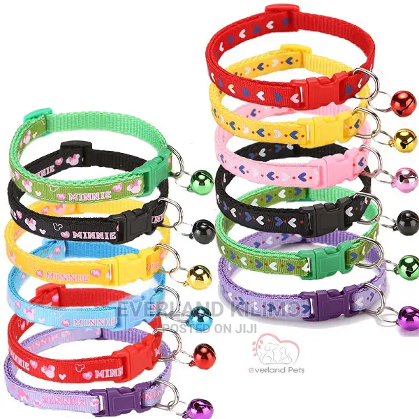 Elegant Dog Collars