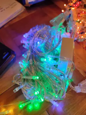 Fairly LED Light/ Christmas Lights Wholesale Price