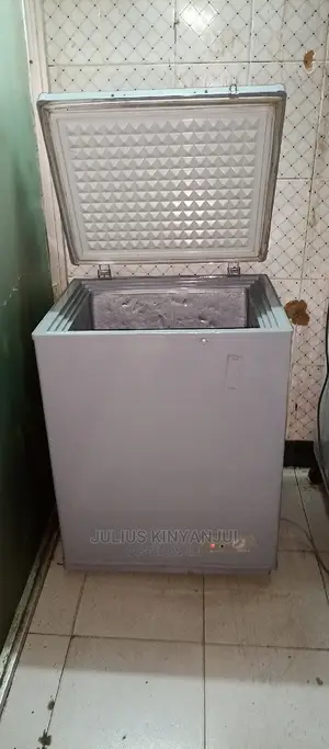 Mini Freezer