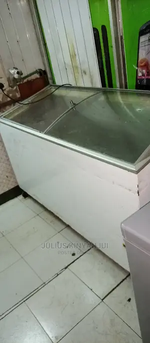 Deep Freezer 500 Litres