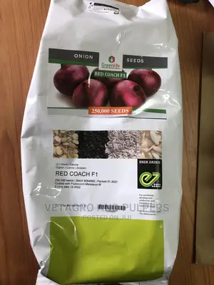 Red Coach F1 Hybrid Onions 250,000 Seeds (1kg)
