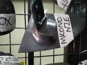 Side Mirror Arm for NZE