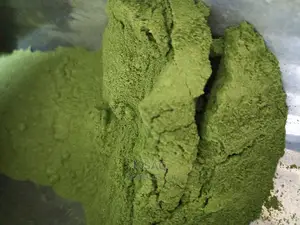 Fresh Moringa Powder 1kg
