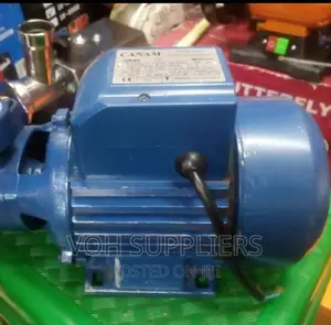Brand New 1" 1hp Electric Canam Pump