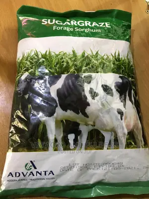 Forage Sorghum 2kg