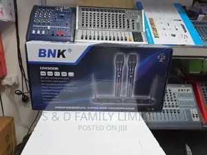 BNK DM300E Wireless Microphone
