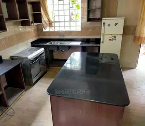 Granite (Black Galaxy)2400x600mm