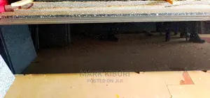Granite (Black Galaxy)2400x600mm