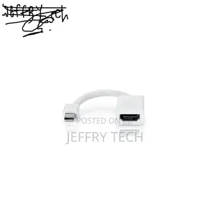 Generic Mini Display Port to HDMI Port Adapter Cable.