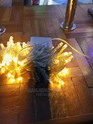 10metres Christmas Light