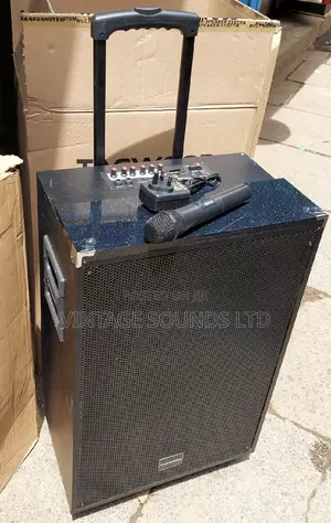 TAGWOOD LTS-15A Outdoor Subwoofer Speaker With Bluetooth