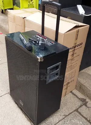 TAGWOOD LTS-15A,15inch Outdoor Subwoofer
