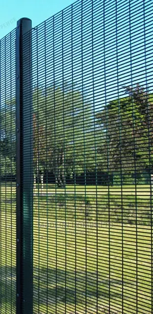 Prison High Security Fencing/S.A. Anti-Climb Fence