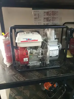 Golf Water Pump