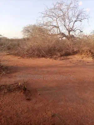 Plots for Sale in Kwale