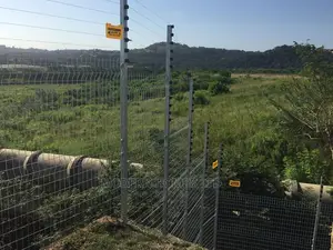 2.4m High Security Mesh Fence Plus Electric Fence