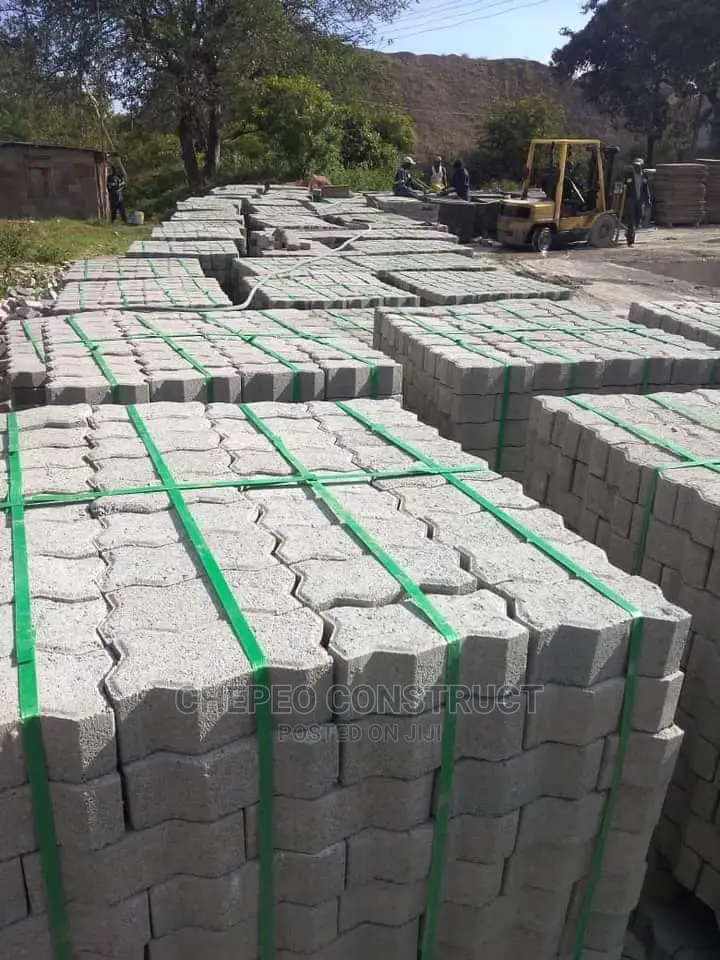 Ordinary Cabro /Pavers High Quality