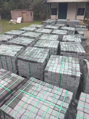 Ordinary Cabro /Pavers High Quality