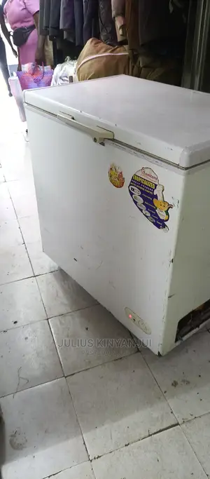 Deep Freezer Medium Size