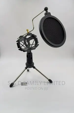 Condenser Microphone Stand With Pop Filter