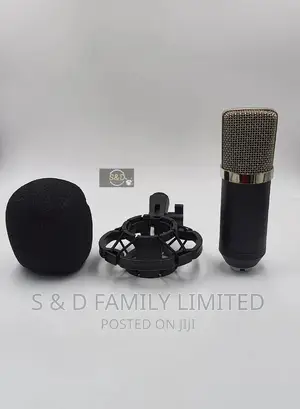 BM 700 Condenser Microphone