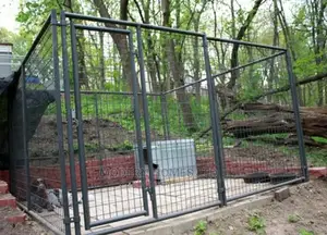 Chain Link /Mesh Dog Kennel