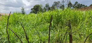 Commercial Plot Touching Tarmac Annex Eldoret