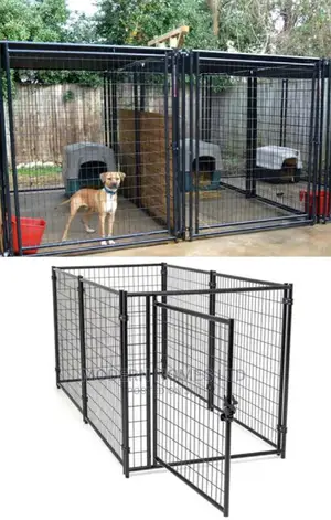 Chain Link Dog Kennel