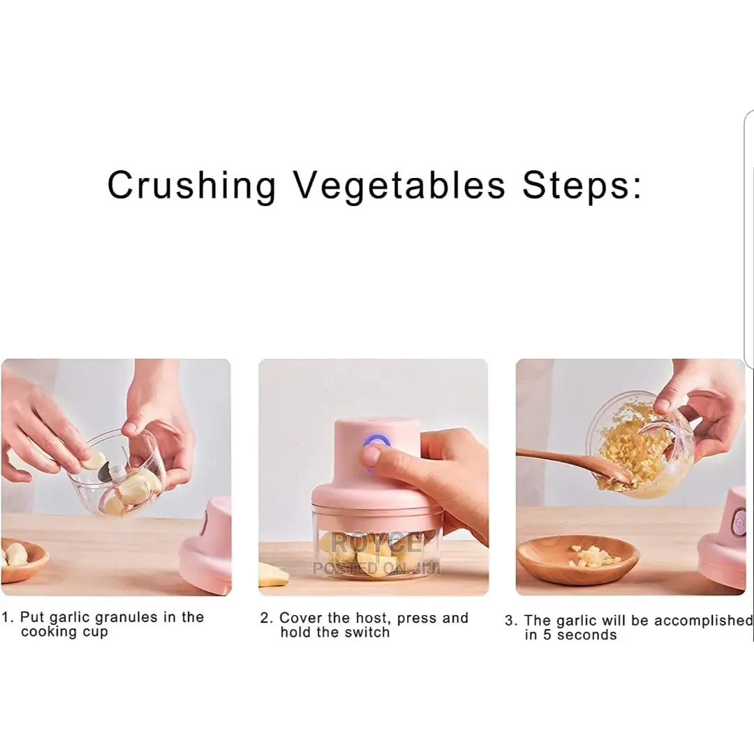 Electric Mini Chopper_250ml