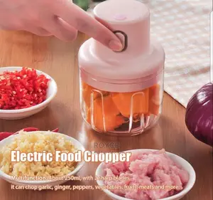 Electric Mini Chopper_250ml