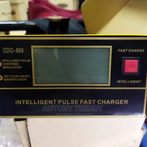 High Speed Battery Charger Both 12 and 24v