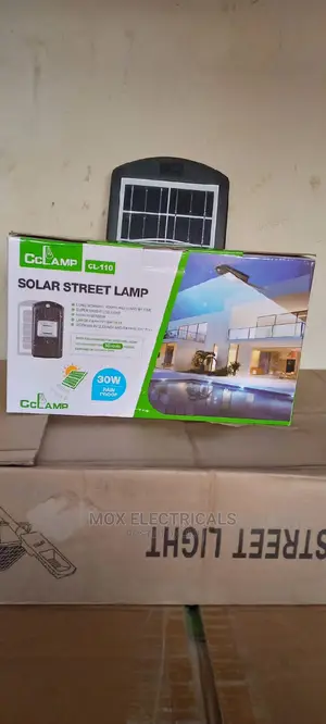 30 Watts Solar Security Street Light