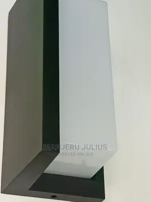 Led Outdoor Light