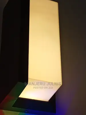 Led Outdoor Light