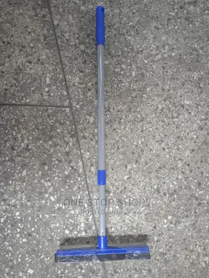Window Squeegee and Sponge