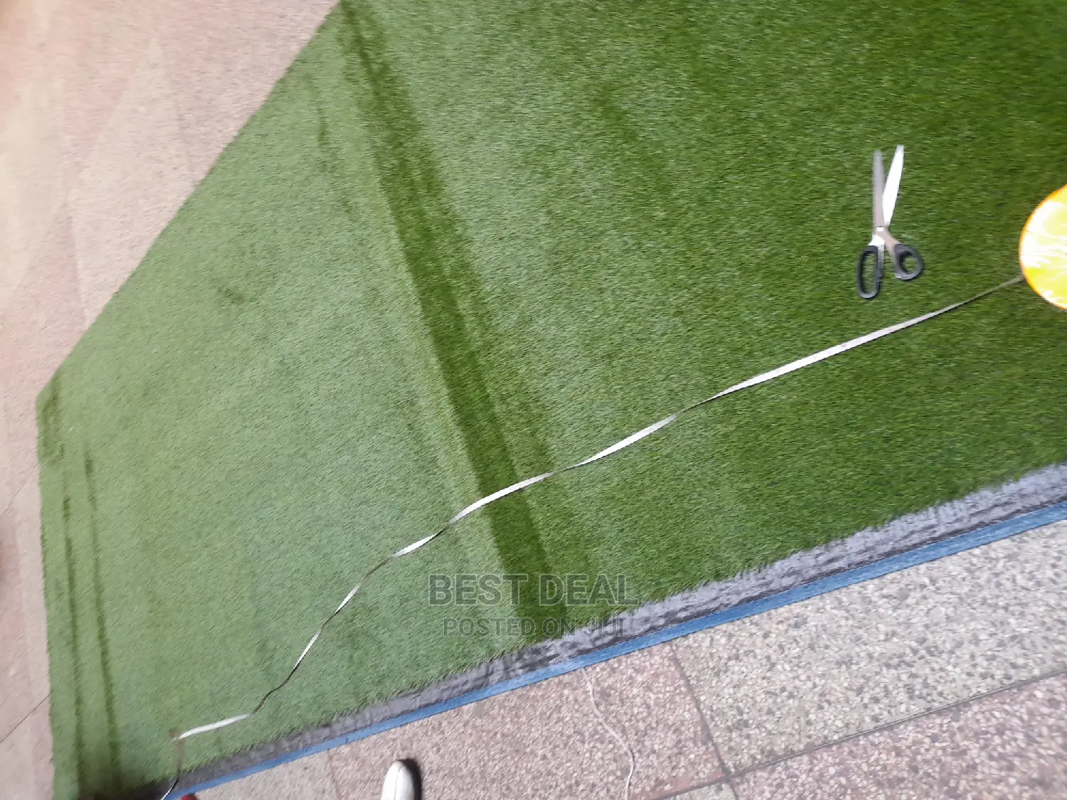 Grass Grass