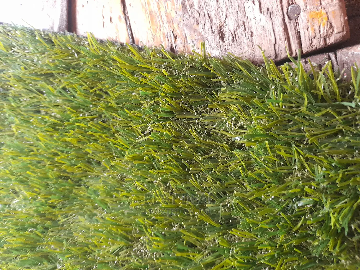 Grass Grass